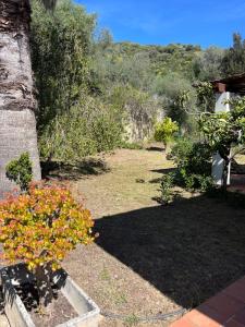 Villetta Regina img51