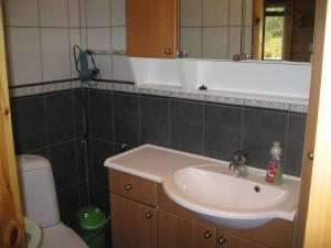 Kallio-Orava Villa with jacuzzi