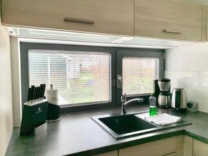Ferienwohnung Wasser mit Sauna Kamin Meerblick und Dachterrasse nahe Ostsee auf Rügen