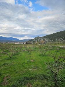 Paikos Townhouse, Hot Springs