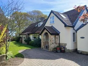 The Herons - 戈尔兹伯勒