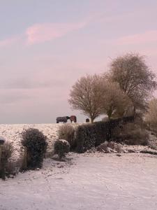 L Instant d une nuit