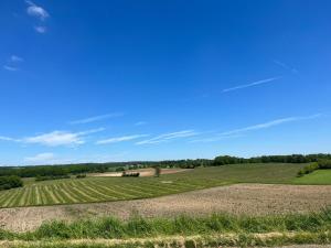 Maisons de vacances L-Herbe Pot : photos des chambres