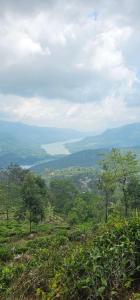 GladWin Holiday Rental