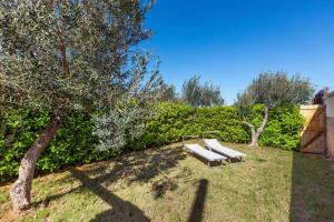 Villa Il Marchese e LUlivo by BarbarHouse