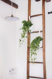 Belvedere Suite Cozy Apartment