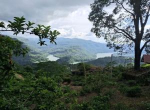 GladWin Holiday Rental