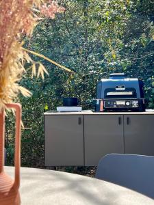 Maisons de vacances Le Cabanon des Morilles : photos des chambres