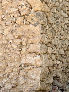 Maisons de vacances Le Cabanon des Morilles : photos des chambres