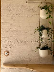 Maisons de vacances Le Cabanon des Morilles : Maison 1 Chambre