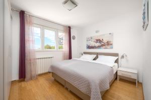 Comfortable Apartment