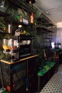 Tropical Vibes Hostel