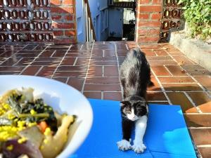 Casa Soraia nellisola dei sogni