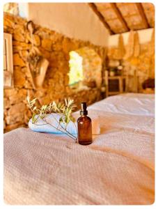 B&B / Chambres d'hotes Authentique bergerie en pierre avec jacuzzi piscine et massages La grange des amoureux : photos des chambres