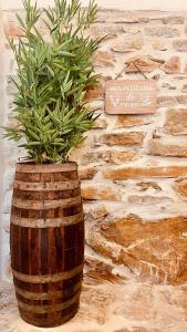 B&B / Chambres d'hotes Authentique bergerie en pierre avec jacuzzi piscine et massages La grange des amoureux : photos des chambres