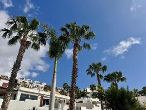 Panoramic Paradise Tenerife Ocean View & Comfort