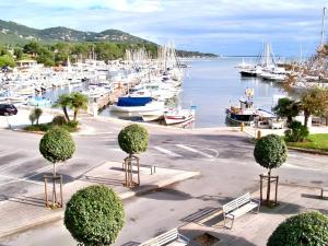Appartements Studio Clim proche plage et parking : Studio Supérieur