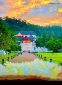 Tree House Yala yal - Etanwela