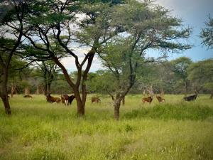 Ndefu Self Catering Accommodation