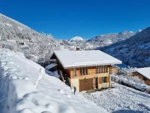 Very comfortable, fully equiped two bed appartement in private chalet entire floor and private terrace Bbq - 大博尔南