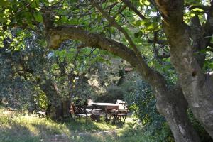 Maisons de vacances Maison familiale Drome - Ardeche : photos des chambres