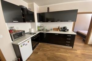 Spacious modern 1BR apartment near the gondola