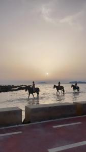 Andreas House Marsala