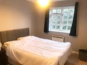 Cosy 1 bed flat in Colliers Wood - 米查姆