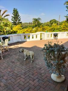 Widenham Holiday Units