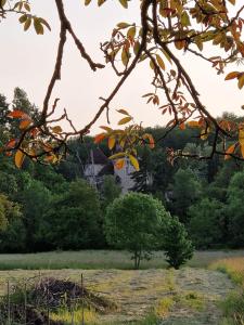 Maisons de vacances Maison a la campagne pour escapades touristiques ! : photos des chambres