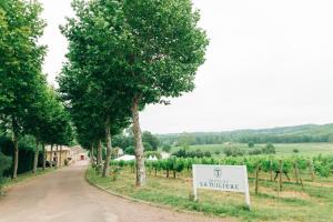 Maisons de vacances Chateau La Tuiliere pool and it's own wineyard : photos des chambres