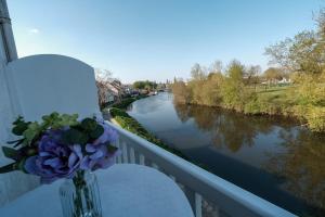 Appartements Appartement Le Balcon de L-Oust : photos des chambres