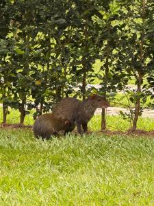 Casa Campestre en Panaca - Fincas Panaca Portal 2