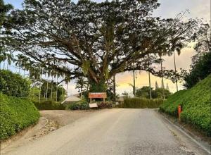 Casa Campestre en Panaca - Fincas Panaca Portal 2