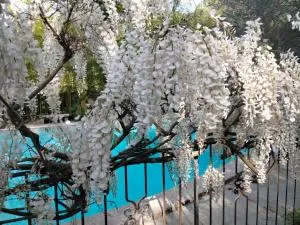 La Bastide des Pins - Comps