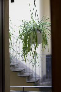 Cozy Studio Apartment- Navigli