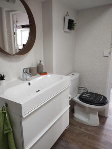 Appartements Charmants studios Le Nid de Lou et Le Cocon de Theo a Rosheim : photos des chambres