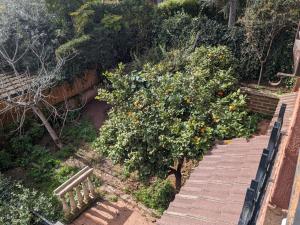 Villino Felix - Roma Bravetta