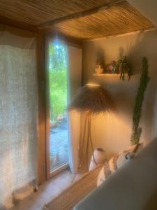 Vu sur le lac et les neiges éternelle