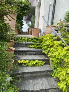 Vu sur le lac et les neiges éternelle