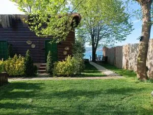 Flamingo aura - Serdivan