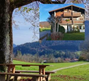 Ferienwohnung Weitblick