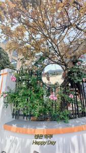 BON villa TAM ĐẢO