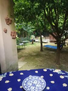 Agrumello Segret Garden