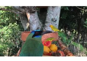 Seralma Barichara - Villanueva