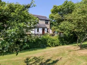 Tranquility - Budock Water