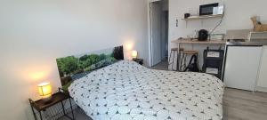 Appartements Chambre avec Kitchenette : photos des chambres