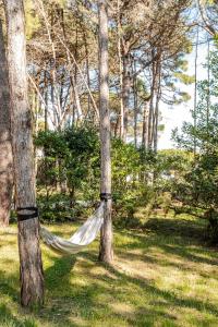 Villa Solaris Vista Mare