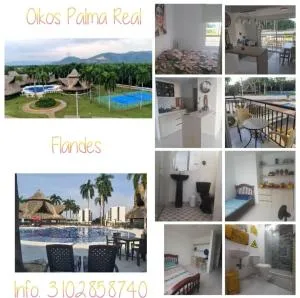 Flandes-Palma Real - Topacio