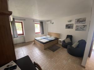 Apartmaji SOČA 